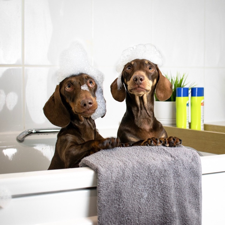 Harvey Water Softener