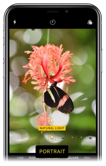 iPhone-Portrait.jpg iPhone Portrait Mode