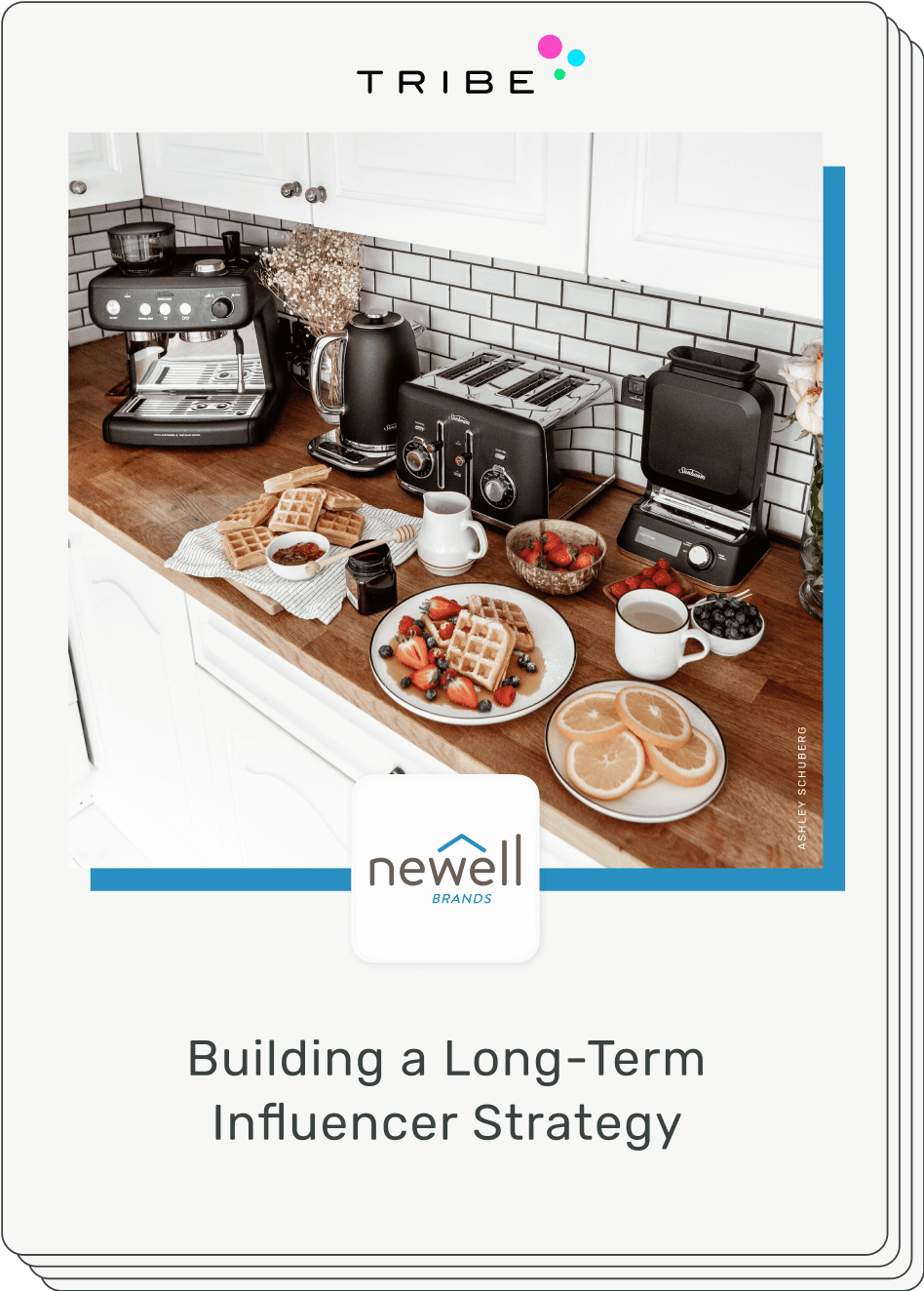 tribeplus-lp-casestudy